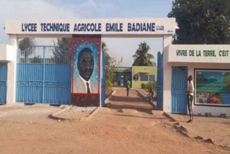 LYCÉE TECHNIQUE AGRICOLE EMILE BADIANE DE BIGNONA